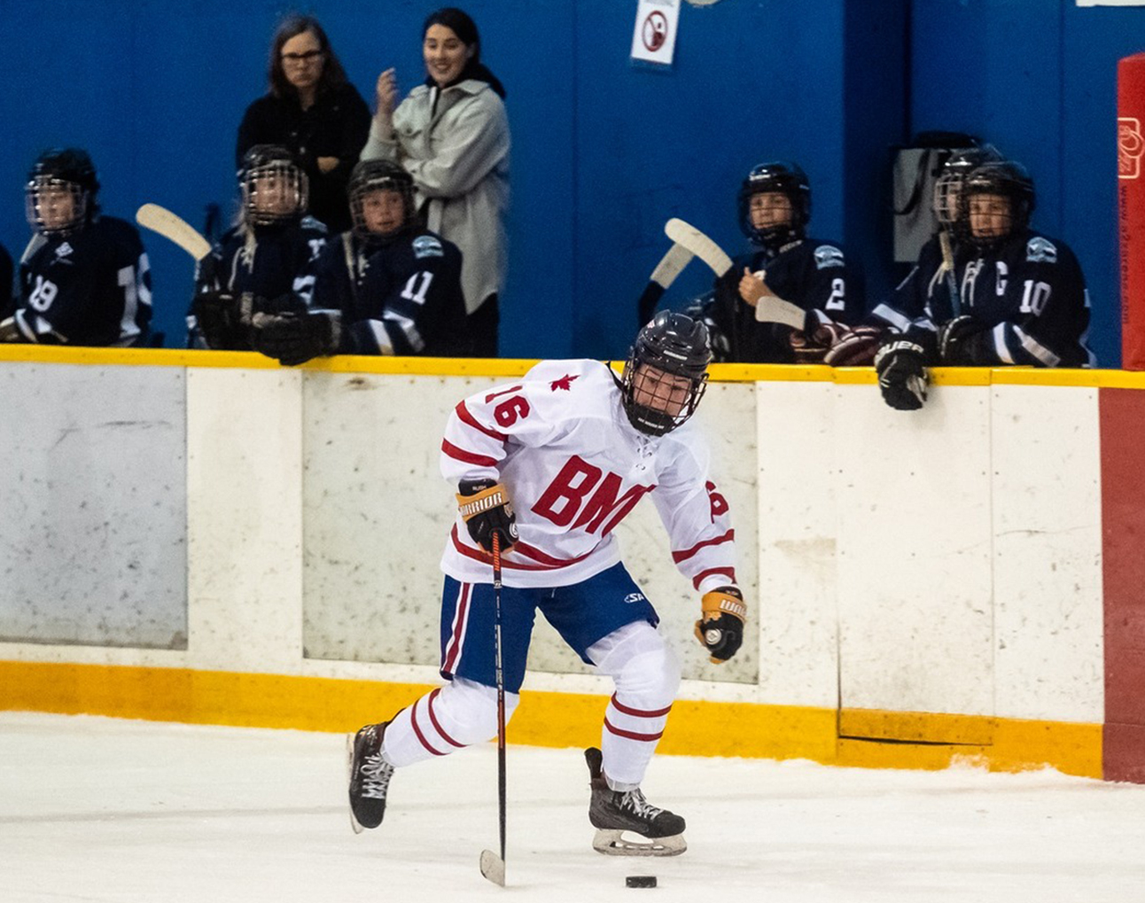 bc amateur hockey associaiton Adult Pictures