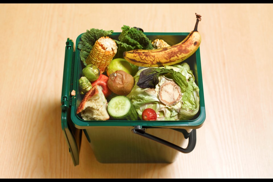 The City of Burnaby is sending out one kitchen catcher to each residence in the city to make it easier to recycle food scraps.