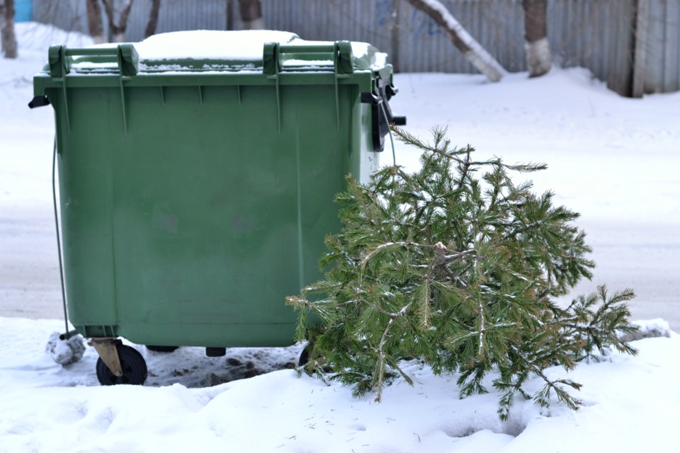 gettyimages-christmastreegarbage