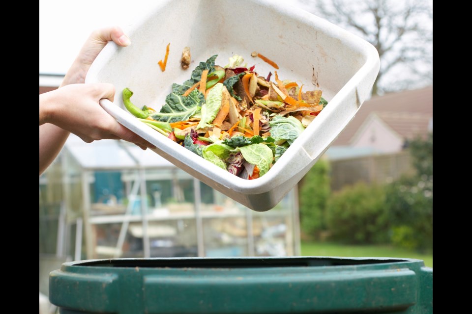 Burnaby will send a plan for a 21-acre green waste processing facility at Fraser Foreshore Park to public consultation.