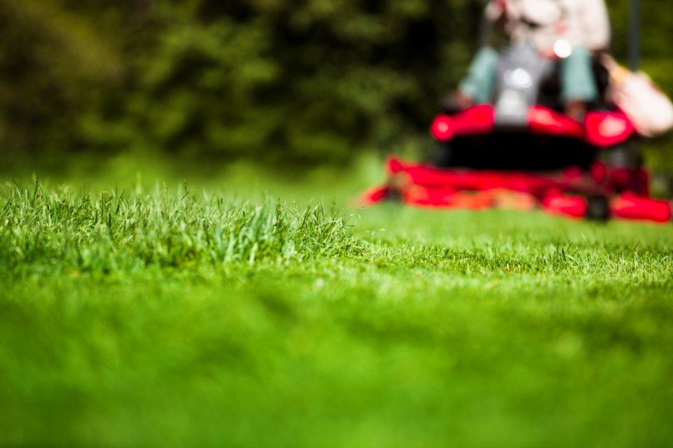 Grass lawn mowing