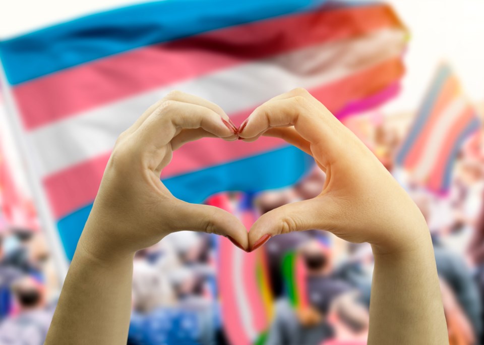 Pride Trans flag allies