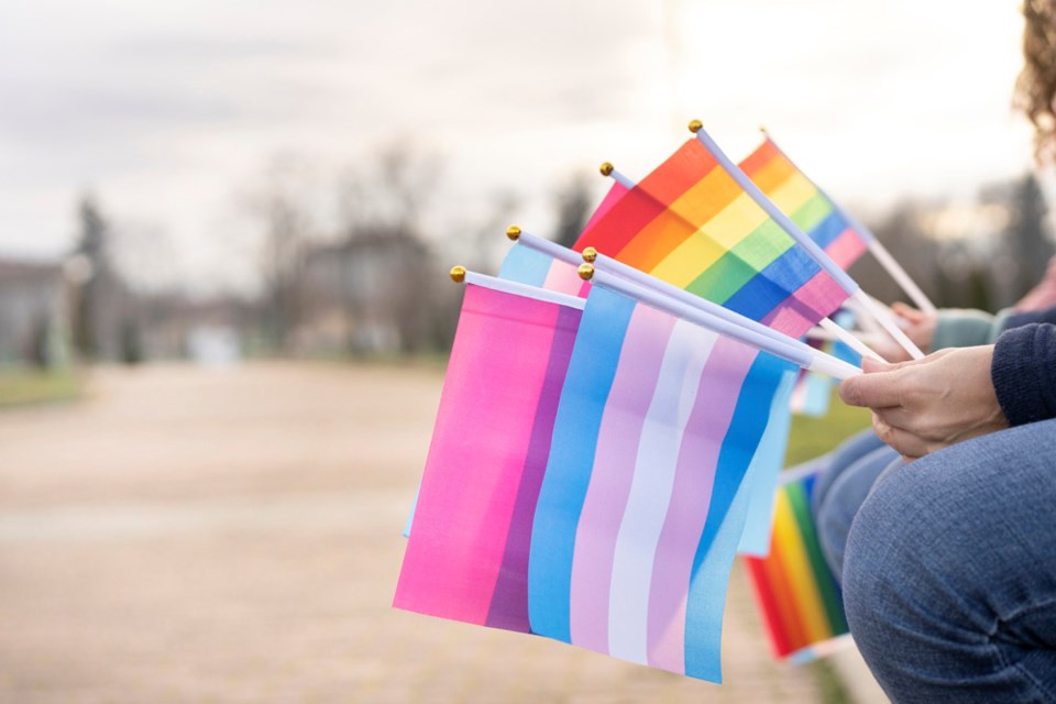 transprideflags