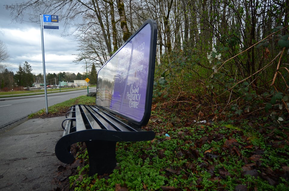 A bus stop on Deer Lake Parkway by Willingdon Avenue backs onto a wooded ravine.