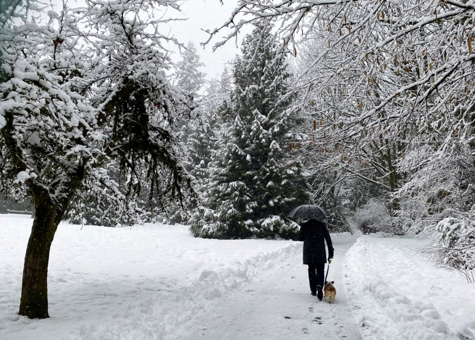 dogwalkerinqueensparksnow