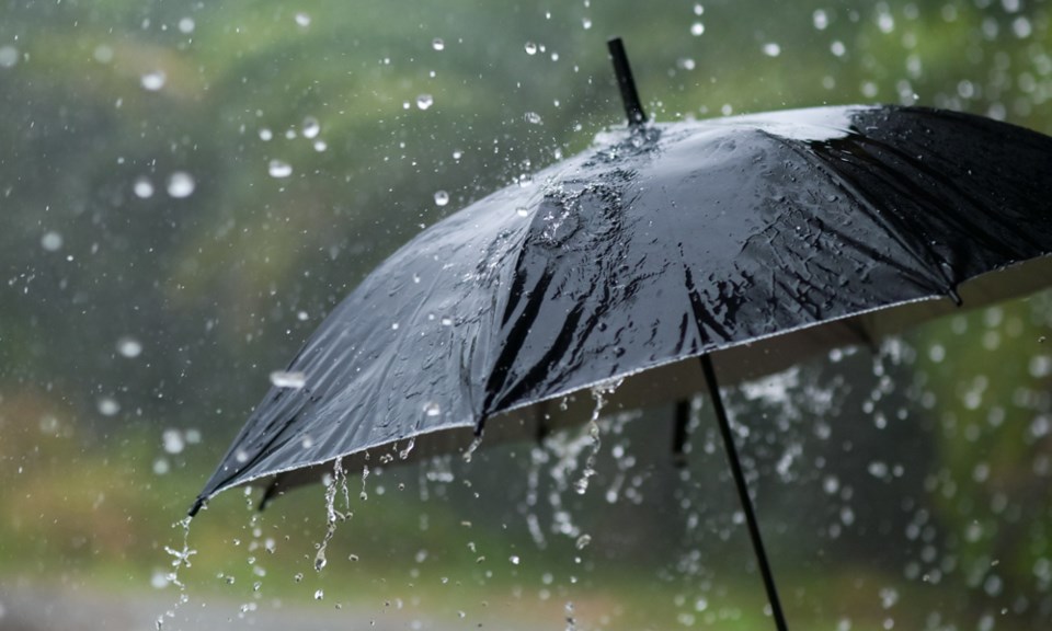 umbrellaintherain