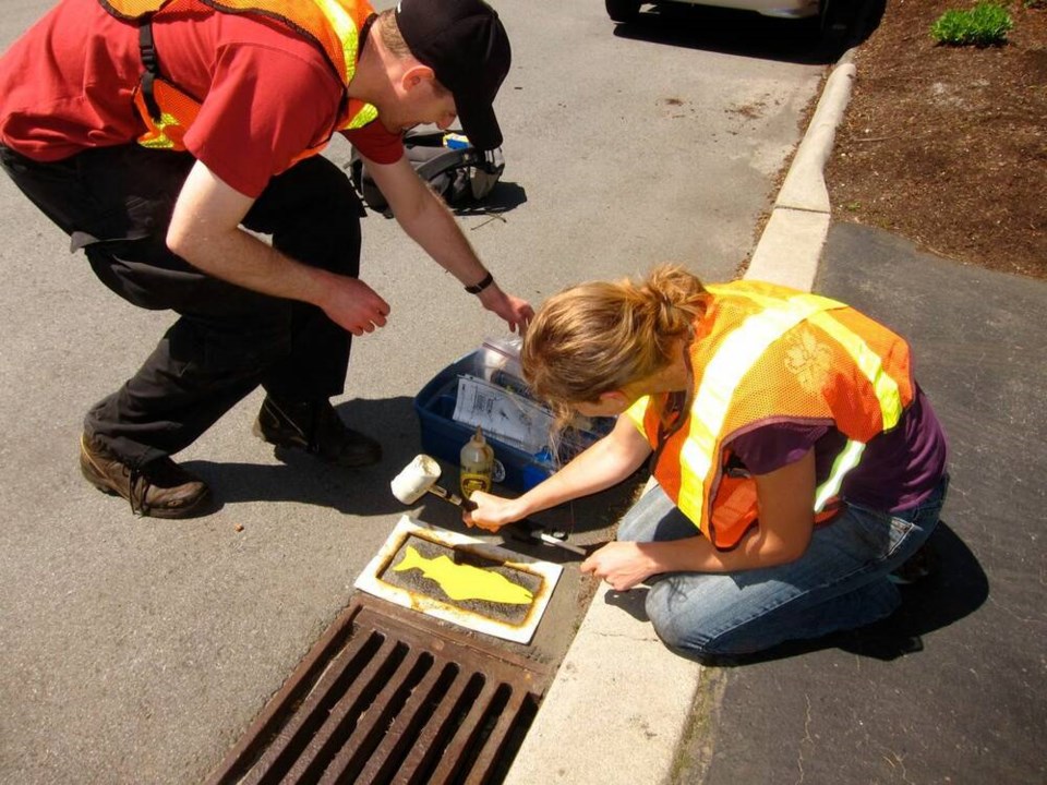 web1_lmgt-storm-drain-marking