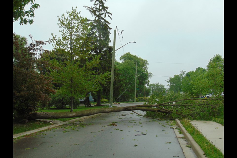 A tree down on Bechtel Street in Hespeler, a day after a severe thunderstorm left extensive damage across the region.                                