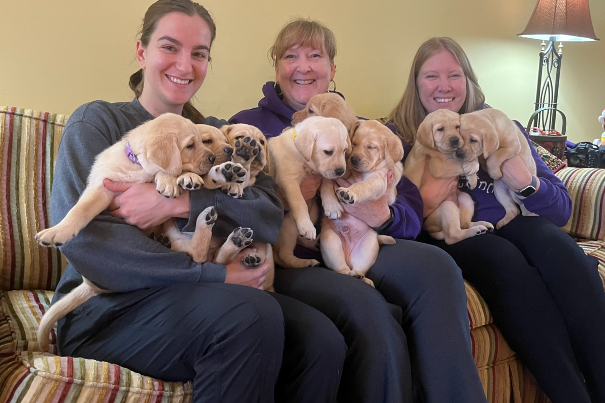 Puppies ready to take next step in becoming future service dogs