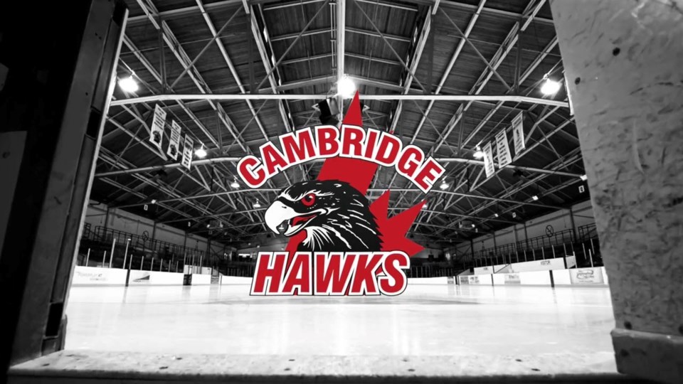 cambridge-hawks