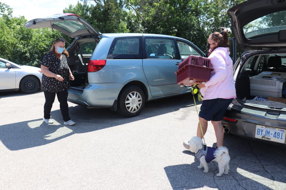 Cherry Wilken, left, and Glenda Patterson, right, transfer the animals to the next vehicle along the chain of drivers in Cambridge.