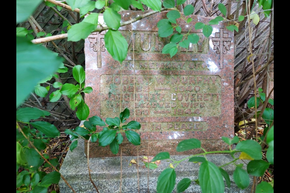 Robert Murphy's headstone covered up by trees and overgrown branches in St Patrick's cemetery on Avenue Road.
