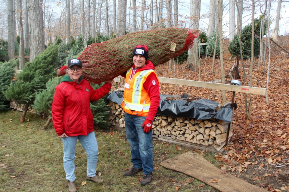 Owners of Chickadee Christmas Trees, Alison McCrindle and Joe Wareham, are advising people to pick out a tree early this season. While supply is down, they still have thousands of trees available.