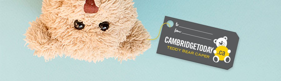 header_teddybear_auction_CAM