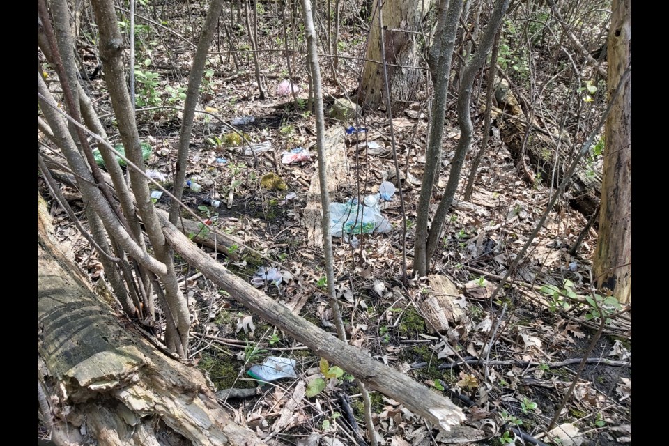 A bunch of discarded plastics and other items make up some of the trash in the woods by Moffat Creek. 