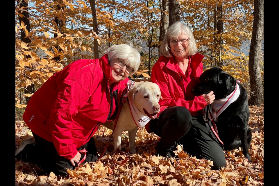St. John Ambulance therapy dog volunteer Sandy Harris, left, with her dog Abbie and volunteer Pat Ireland with her dog Minka.