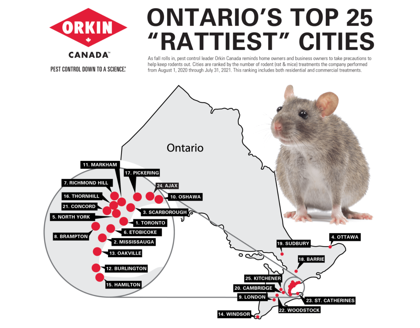rattiest cities
