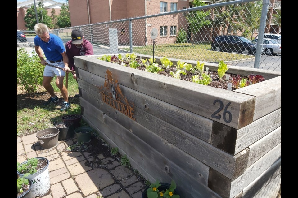 Volunteers Stephen Allt, Kitchener, and Rick Weber, of Elmira, were at the Water Tower Gardens at 355 Linden Dr., lowering some of the beds to make them accessible. 