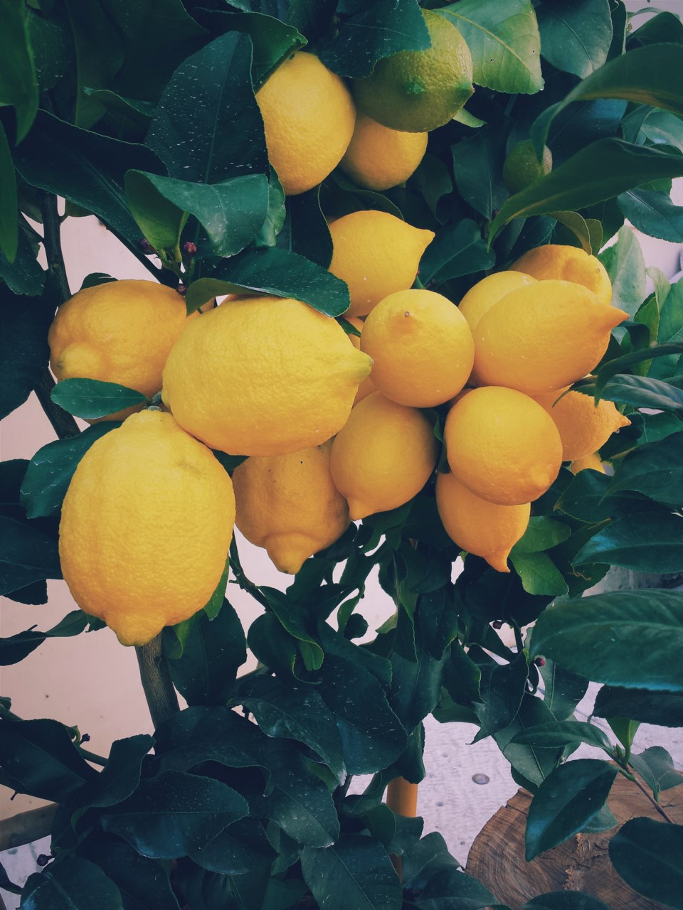 ernest-porzi-Z-Y6I45f9kQ-unsplash