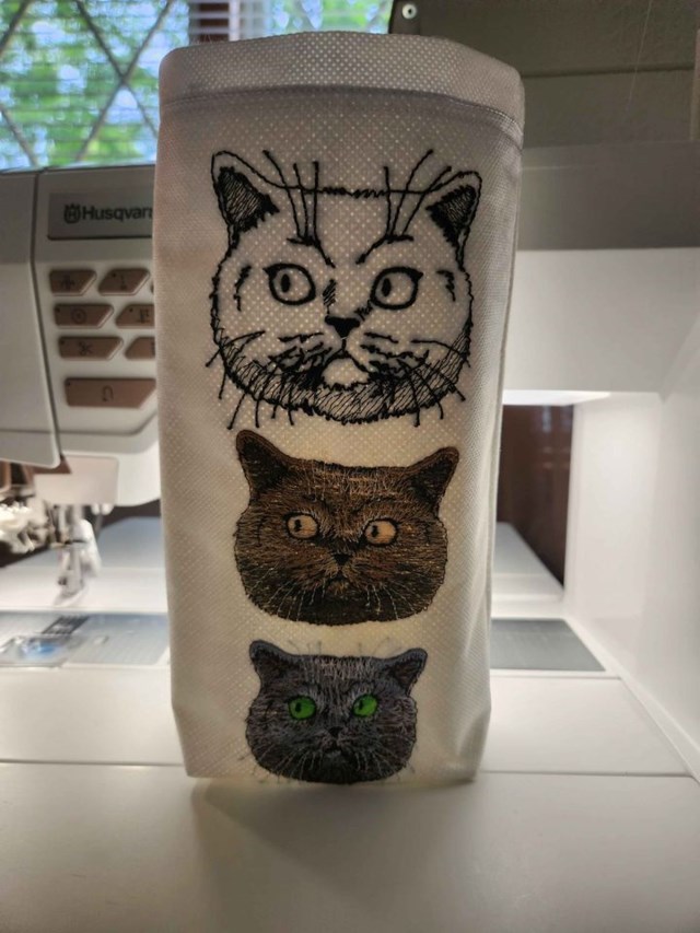 Lanterns 3 Cats