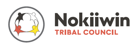 nokiiwin-logo
