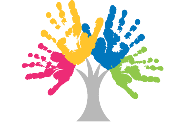 CCN Logo
