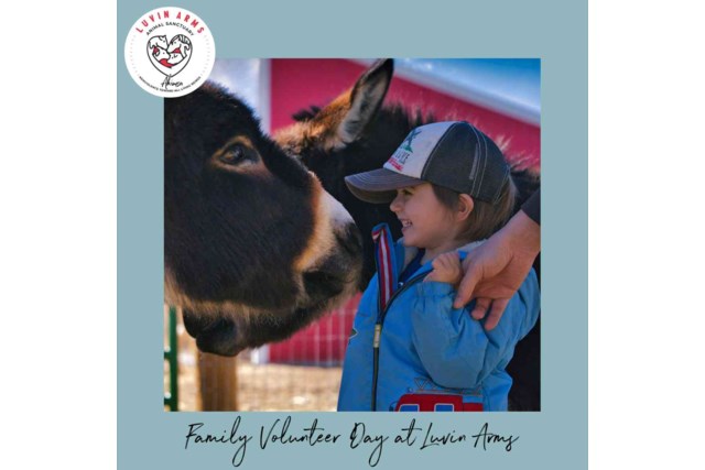 Family Volunteer Day
