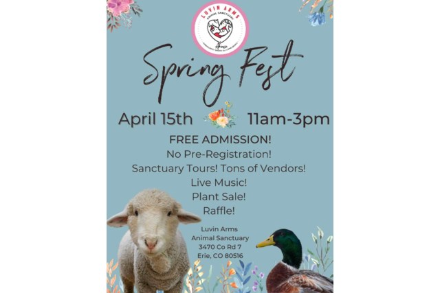 Spring Fest flyer