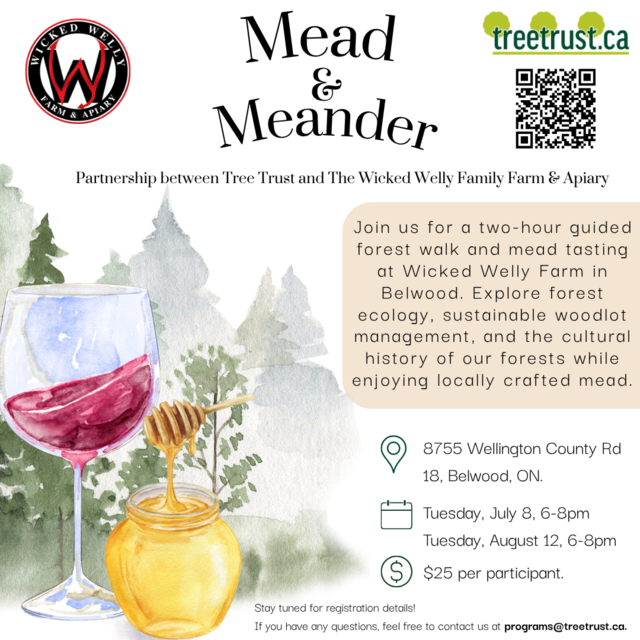 MEAD AND MEANDER