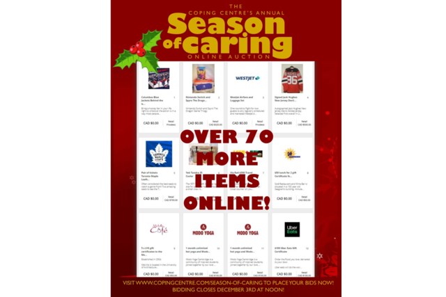 season of caring auction page