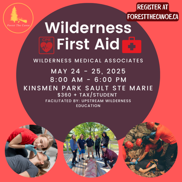 Wilderness First Aid (1)