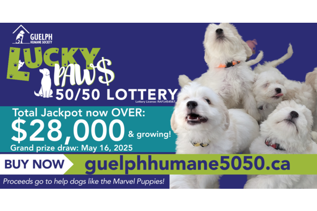 GUELPH TODAY - LUCK PAWS LOTTERY (320 x 100 px) (640 x 200 px) (Facebook Post) (4)