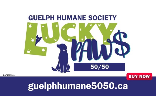 Copy of lucky paws banner 2024 (3)