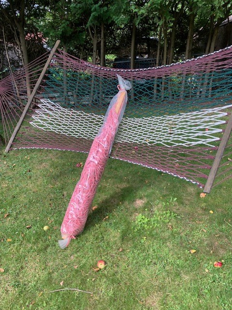 hammock
