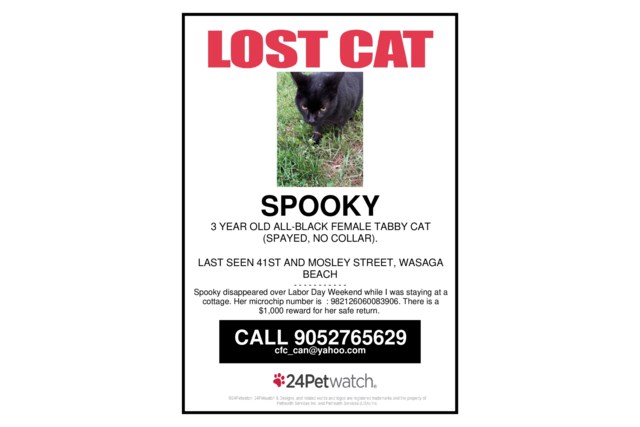 Spooky's Lost Poster