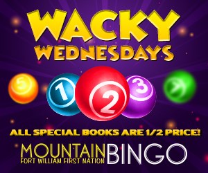 Mountain-Bingo---WACKY WED Big-Box-300x250---PO43062