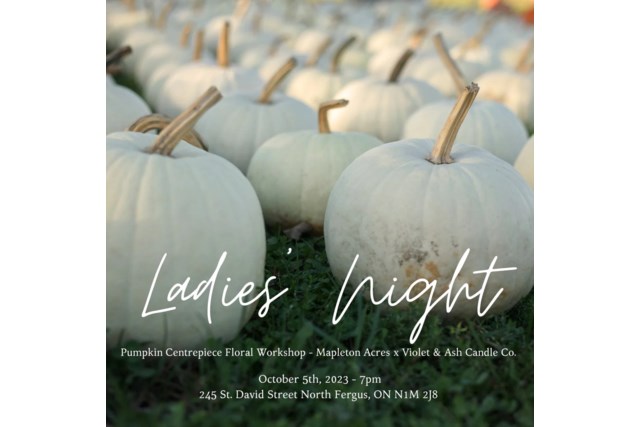 Mapleton-Acres-Flower-Farm-Violet-Ash-Workshop-Fergus-Ontario-Thanksgiving-Pumpking-2023