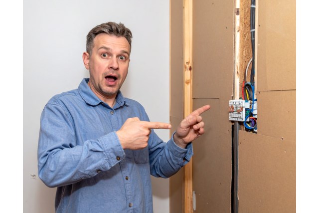 Firefly A home buyer is surprised at the wiring found behind panels in a wall 639773