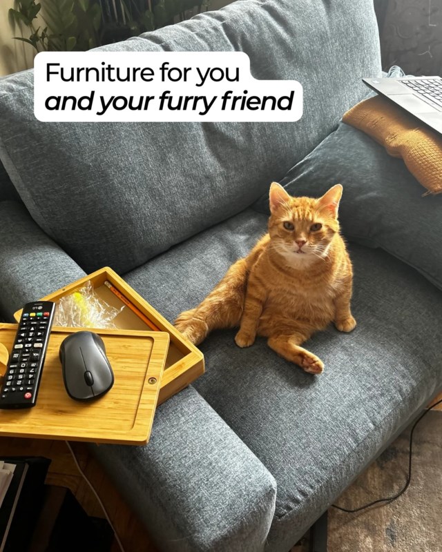 Furry friend goldmine post