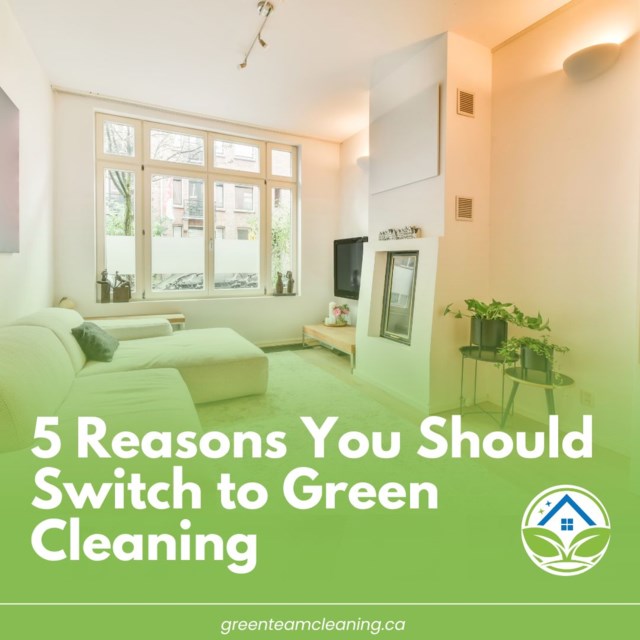 Navigating duct cleaning in Collingwood your complete guide (6) (1)