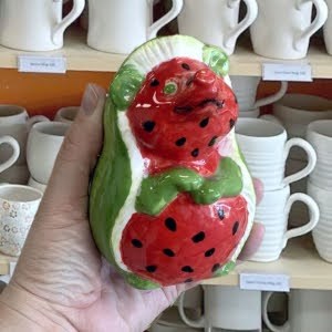 Watermelon-Party