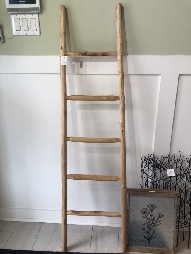 ladder