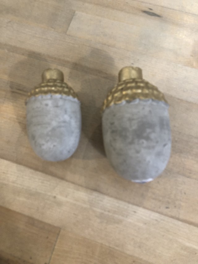acorn
