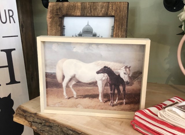 horse