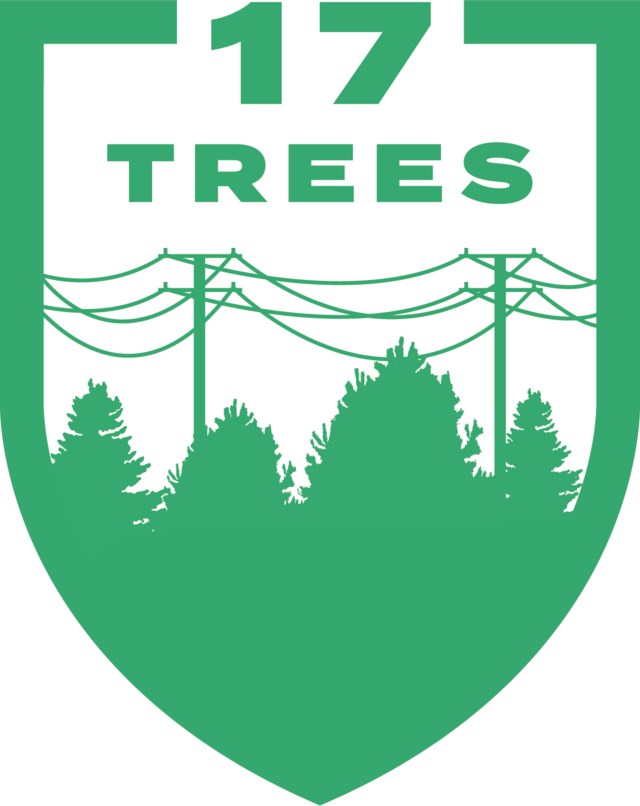17Trees-colour