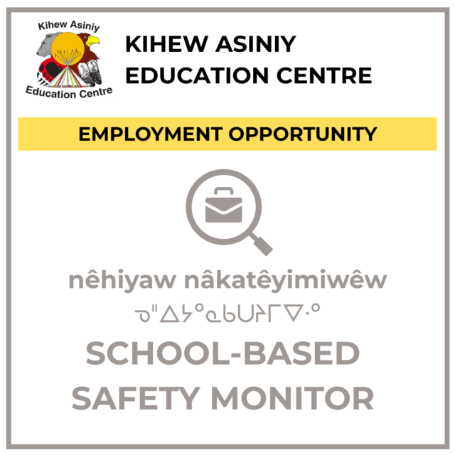 safety-monitor-2