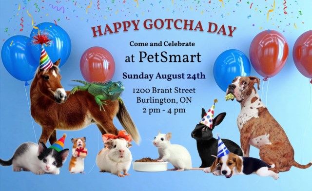 Happy Gotcha at PetSmart