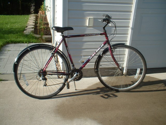 Raleigh Pioneer