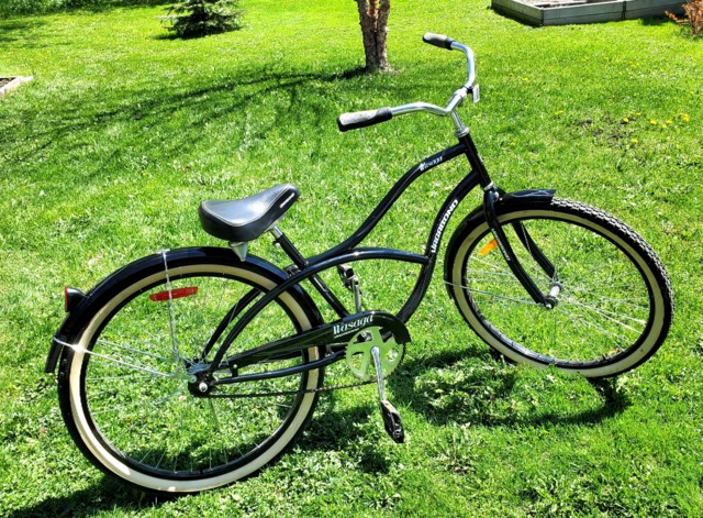 wasaga bike