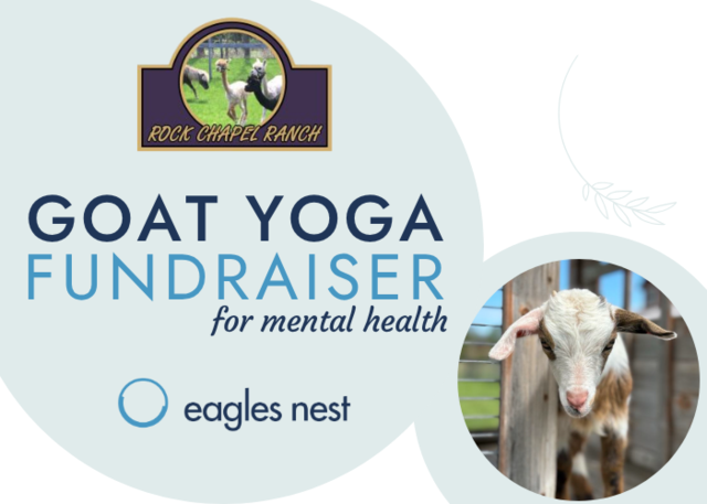 Goat Yoga Fundraiser - Flamborough Today Image